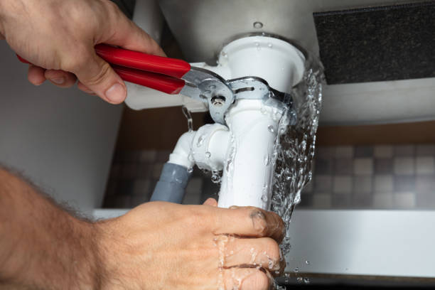 Best Mold removal after water damage  in Crafton, PA