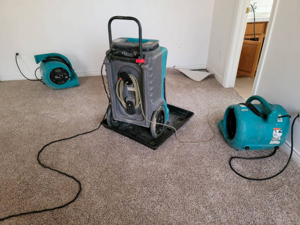 Best 24-hour water damage restoration  in Crafton, PA
