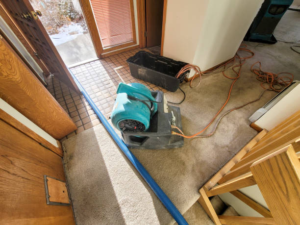 Best 24/7 water damage repair  in Crafton, PA