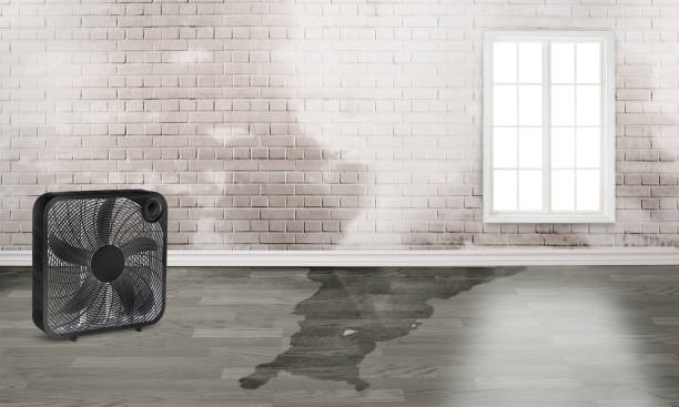 Sewage cleanup and water damage restoration in Crafton, PA
